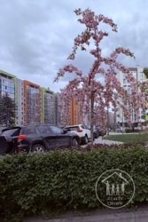 ��������� �������� �������� ���., 12, ����, ��������, ���������� ���� 45