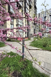 Продається квартира Княгині Ольги вул., 98, Львів, Львівська, Франківський фото 31 Продається квартира Княгині Ольги вул., 98, Львів, Львівська, Франківський фото 31