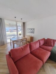 ��������� �������� ��������, ����, ��������, ������������� ���� 3