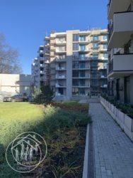 ��������� �������� �������, ����, �������� ���� 1