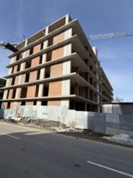 ��������� �������� ����, ��������, ������������� ���� 7