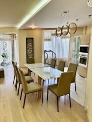 ��������� �������� ����, ��������, ��������� ���� 1