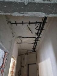 ��������� �������� ��������, 28, ����, ��������, ����������� ���� 11