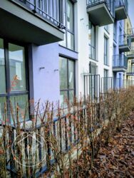 ��������� �������� ����� ������, ������, ��������������, �������� ���� 3