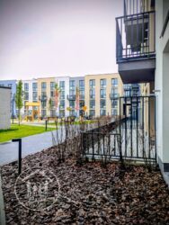 ��������� �������� ����� ������, ������, ��������������, �������� ���� 5