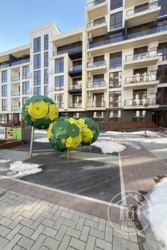 ��������� �������� ������������� ���., ����, ��������, ����������� ���� 29