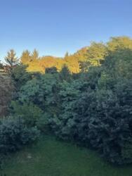 ��������� �������� ���������, 1, ����, ��������, ����������� ���� 18