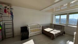 ��������� �������� �������� ���., 6, ����, ��������, ����������� ���� 12