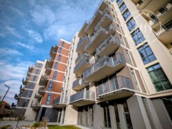 ��������� �������� ��������, �������, ����, �������� ���� 1