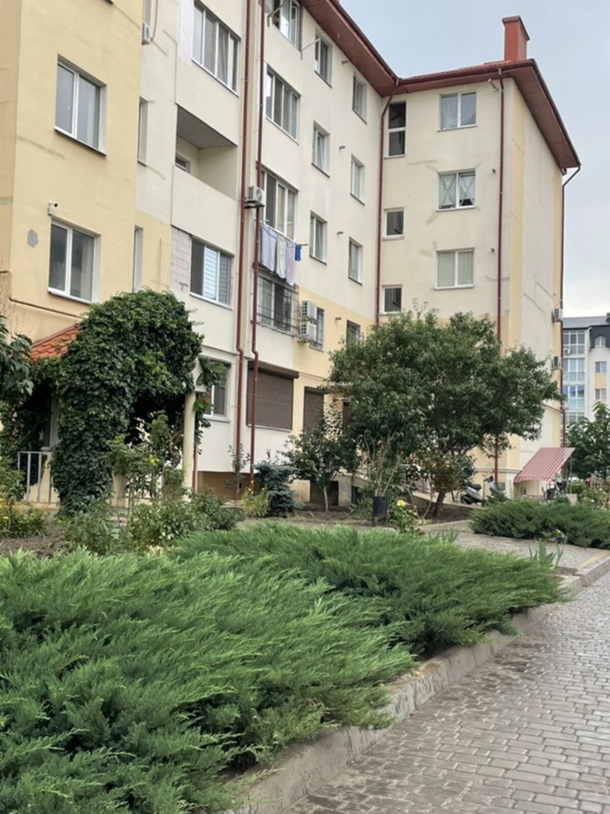 ����������� �������� ���� 1