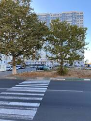 ��������. ����: '�� �����������' ���� 3