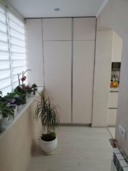 ���������� �������� ���� 12