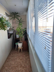 ��������������� �������� ���� 6