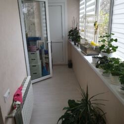 ���������� �������� ���� 9