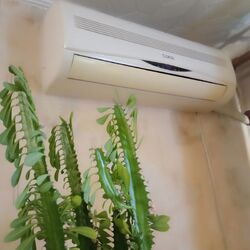 41000$ � ������� 2-� ����.�������� �� ����������. ���� 9