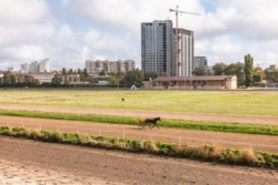 127800$    . 63 . ³. .   16