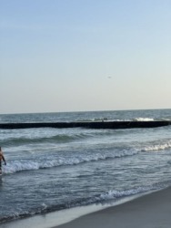 36100$ ��������-������ � �������� �� �������� ������� ����� ���� 12