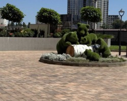 45800$  ������ �������� � 66 ��������� �� ����� ����. ���� 1