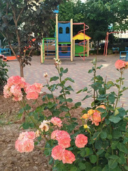 29500$ ������ �����-��������. ���� 4