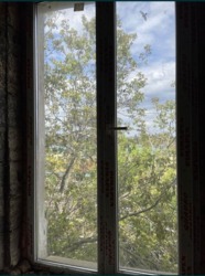 15000$  ������ 2�, 3� ��������� �������� ��� ������ �� ��. �����-������� 1 ���� 6