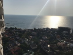 105000$ ������ �������� 44 �������, �� ���䳿 �����, ����� ������ ��� ���� ���� 11