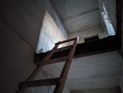 56350$  ������������� 3-��������� �������� 80��.�. �� ����������� ���� 12