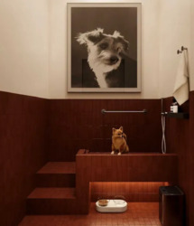 45000$  ������ 2 ��������� �������� (��������� �� 4 ���). �� ODESA CITY ���� 7