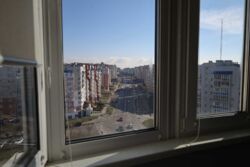 ��������� �������� ������, ³�����, ³�������, ������ ���� 7