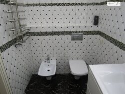 ��������� �������� �������, 29, ³�����, ³�������, ������� ���� 12