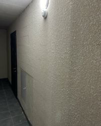 ��������� �������� ���������� ���������, ³�����, ³�������, �������� ���� 19