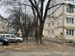 ��������� �������� ��������, 79, ³�����, ³�������, �������� ���� 2