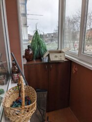 ��������� �������� ����� �������������, 63, ³�����, ³�������, ����� ���� ���� 6