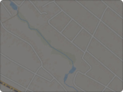 ��������� �������� ��������, 79, ³�����, ³�������, �������� ���� 13