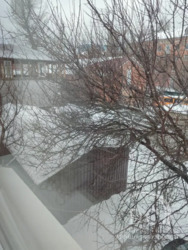 3-� ��+ �����/˳��� �����/������������/���.83 � ��. �����/��� ���� 15