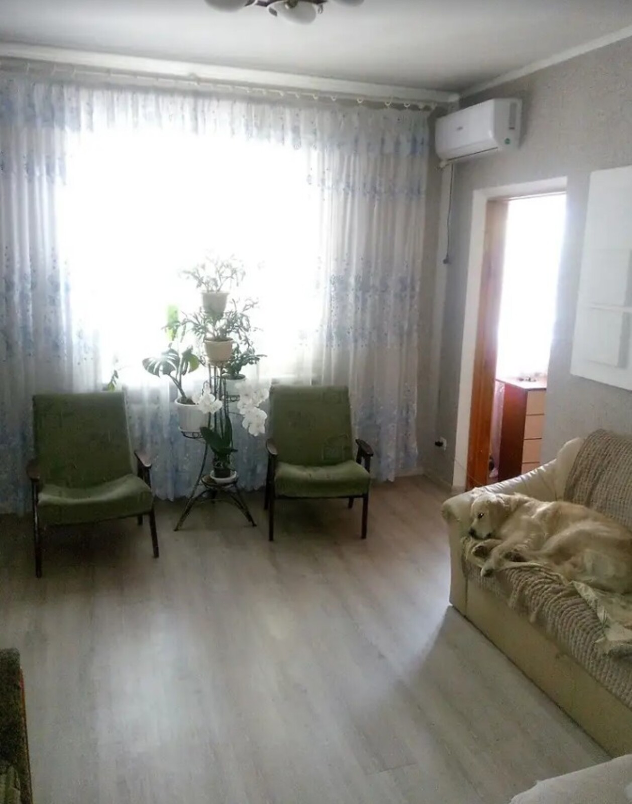 Продається 3-х кімнатна квартира. Центральна частина міста (парк). Простий житловий стан фото 1 Продається 3-х кімнатна квартира. Центральна частина міста (парк). Простий житловий стан фото 1