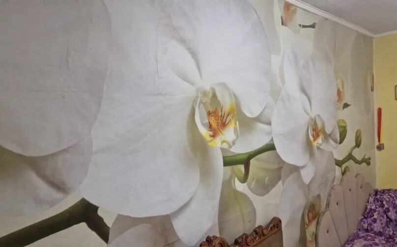 Продається 2-х кімнатна квартира в Центрі міста. фото 1 Продається 2-х кімнатна квартира в Центрі міста. фото 1