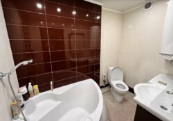  3-  . - .  .      11