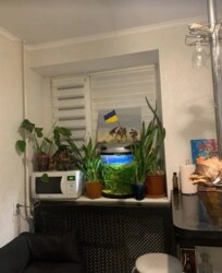 Продається 2-х кімнатна квартира в р-ні Вишенька. Гарний стан. фото 9 Продається 2-х кімнатна квартира в р-ні Вишенька. Гарний стан. фото 9