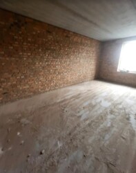  2-     Friendly,  ,  .  6