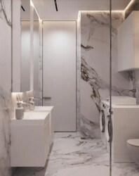   2-     Premier Tower  17