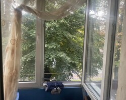 Продаж 3-х кімнатна квартира в Замостянському районі, добра ціна. фото 10 Продаж 3-х кімнатна квартира в Замостянському районі, добра ціна. фото 10