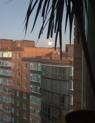 Продається 3-х кімнатна квартира в Новобудові. Гарний житловий стан, центральна частина міста фото 15 Продається 3-х кімнатна квартира в Новобудові. Гарний житловий стан, центральна частина міста фото 15