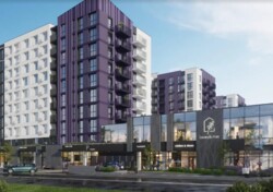  1  41 .   Lavanda Park  3