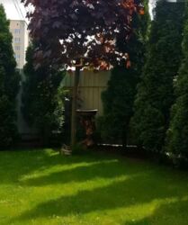 Продаж 5к квартири 173 кв. м на вул. Володимира Винниченка. Замостянський район. фото 4 Продаж 5к квартири 173 кв. м на вул. Володимира Винниченка. Замостянський район. фото 4