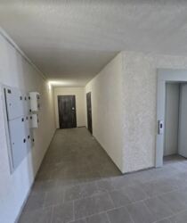 ������ 1� �������� 61 ��. � �� ���. ������������ ���� 1