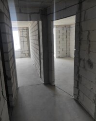  1  43.6 .   .   .  2