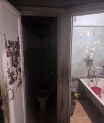 ������ 3� �������� 56.9 ��. � �� ���. ������������ ���� 6