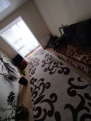 ֲ  ϲ˲ ò. .  2-     .  ,  .  14