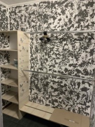   1-     Avalon 5. '.  6