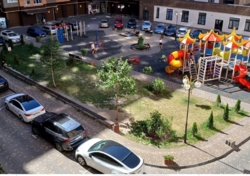  1  62 .   . '  29  5  1